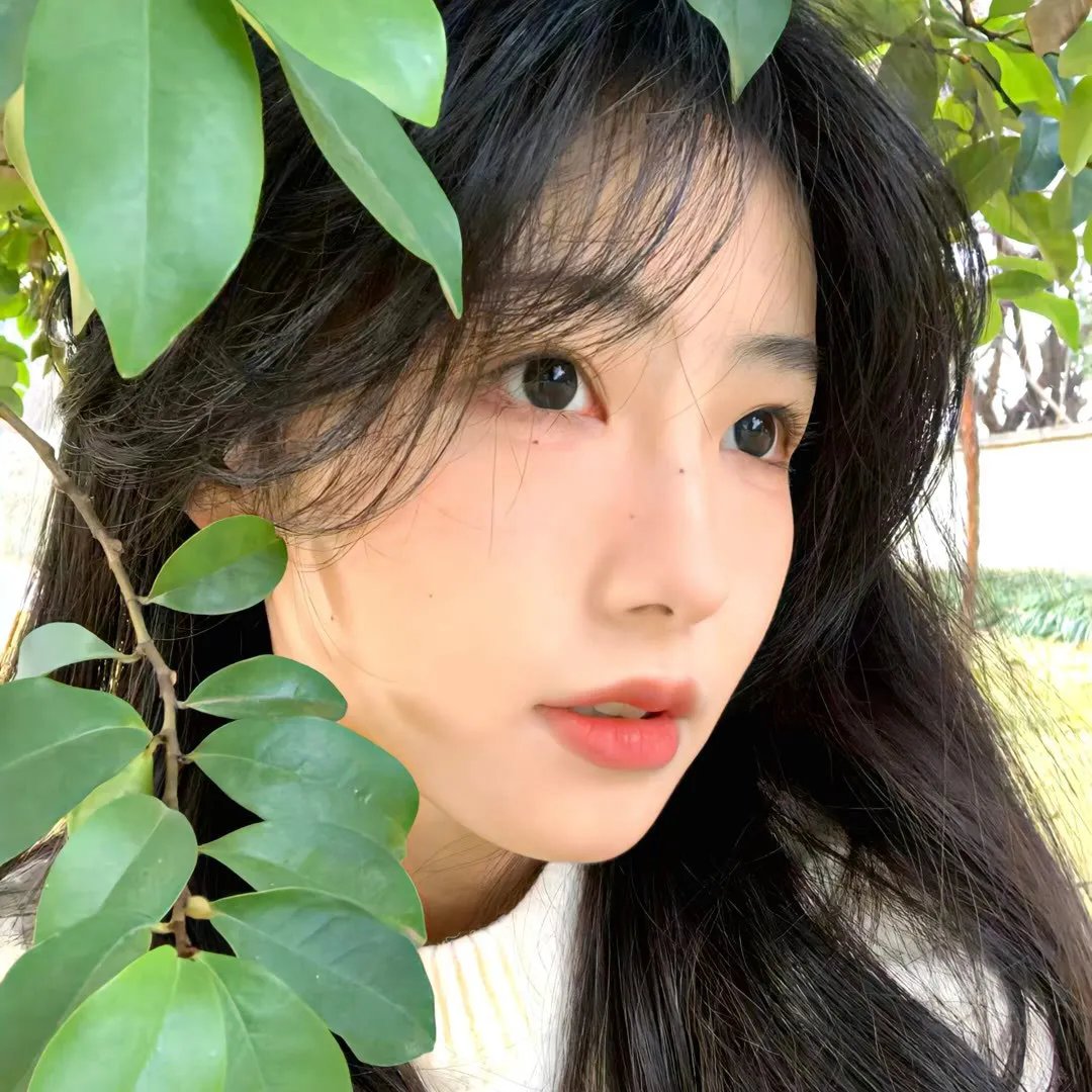 我的笋盘男友国语